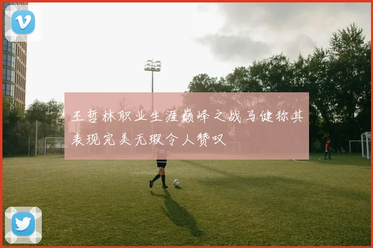 王哲林职业生涯巅峰之战马健称其表现完美无瑕令人赞叹