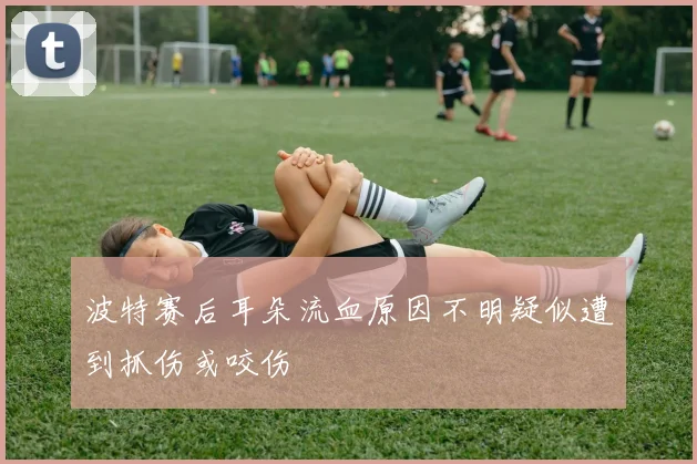 波特赛后耳朵流血原因不明疑似遭到抓伤或咬伤