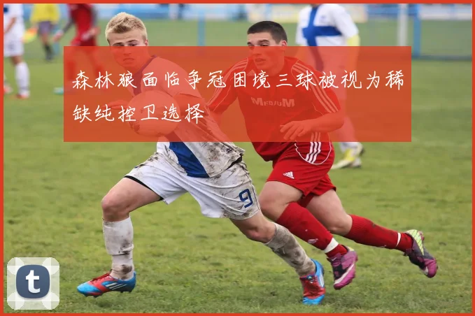 森林狼面临争冠困境三球被视为稀缺纯控卫选择