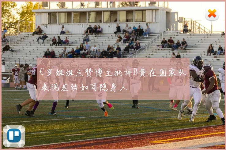 C罗姐姐点赞博主批评B费在国家队表现差劲如同隐身人